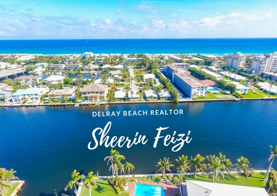 DELRAY BEACH REALTOR Sheerin Feizi